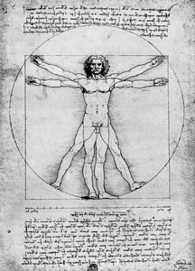 Ihmishahmon suhteet, c1492, 1936 tekijältä Albrecht Dürer