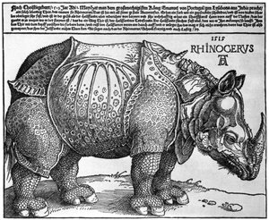 Sarvikuono, Lissabonin kuninkaan Maximilian I:lle antama printti, 1515, 1936 tekijältä Albrecht Dürer
