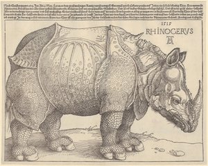 Sarvikuono tekijältä Albrecht Dürer