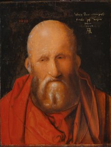Pyhä Hieronymus, 1514. tekijältä Albrecht Dürer