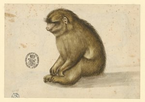  tekijältä Albrecht Dürer