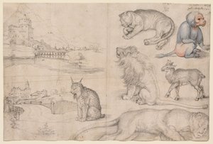  tekijältä Albrecht Dürer