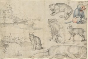 Luonnoksia eläimistä ja maisemista, 1521. tekijältä Albrecht Dürer