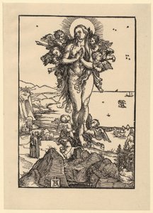 Opintolomake, jossa on viisi kuviota tekijältä Albrecht Dürer