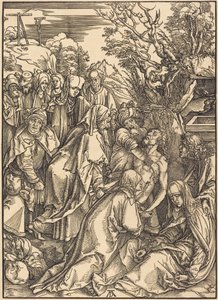  tekijältä Albrecht Dürer