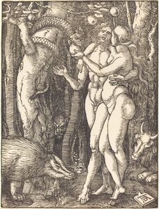 Ihmisen lankeemus tekijältä Albrecht Dürer