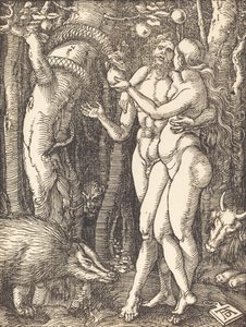 Ihmisen lankeemus, luultavasti n. 15091510. tekijältä Albrecht Dürer