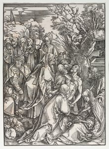 Suuri intohimo: Laskeuma tekijältä Albrecht Dürer