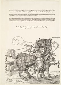  tekijältä Albrecht Dürer
