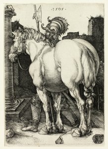 Suuri hevonen tekijältä Albrecht Dürer