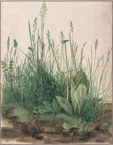 Suuri pala turvetta tekijältä Albrecht Dürer