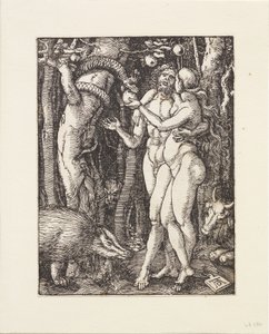 Pieni passio: Syntiinlankeemus tekijältä Albrecht Dürer
