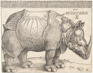  tekijältä Albrecht Dürer