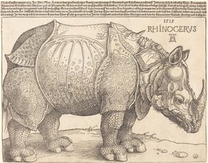 Sarvikuono, 1515. tekijältä Albrecht Dürer