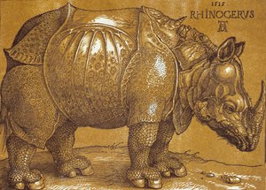 Sarvikuono, 1515. tekijältä Albrecht Dürer