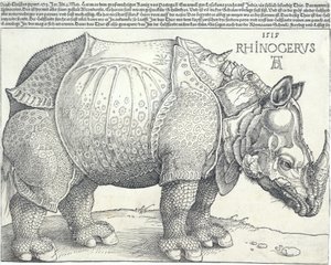Sarvikuono, 1515, 1515. tekijältä Albrecht Dürer