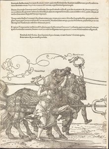 Maximilian I:n voittovaunut (suuri voittoauto) [kilpi 5/8] tekijältä Albrecht Dürer