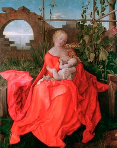 Neitsyt ja lapsi, Madonna iiriksen kanssa, 1500-1510 tekijältä Albrecht Dürer
