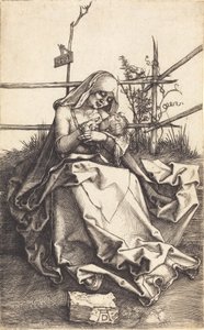 Neitsyt ja lapsi ruohopenkillä, 1503. tekijältä Albrecht Dürer