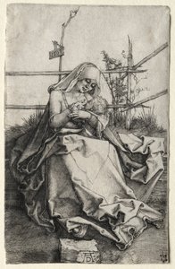 Neitsyt ja lapsi ruohopenkillä, 1503. tekijältä Albrecht Dürer