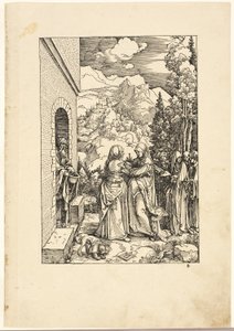 Vierailu, Neitsyen elämästä tekijältä Albrecht Dürer