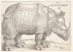 Sarvikuono tekijältä Albrecht Dürer