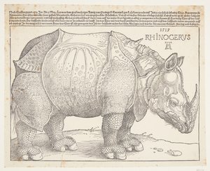 Sarvikuono tekijältä Albrecht Dürer