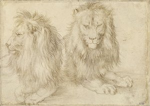 Kaksi istuvaa leijonaa tekijältä Albrecht Dürer