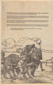  tekijältä Albrecht Dürer