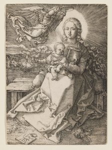 tekijältä Albrecht Dürer