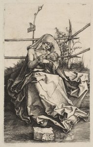 Neitsyt ja lapsi ruohopenkillä, 1503. tekijältä Albrecht Dürer