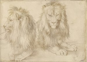 Kaksi makaavaa leijonaa. 1521 tekijältä Albrecht Dürer