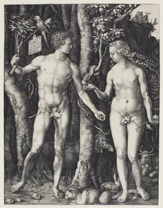 Aatami ja Eeva tekijältä Albrecht Dürer