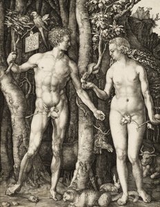Aatami ja Eeva tekijältä Albrecht Dürer