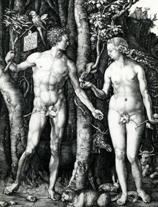 Aatami ja Eeva tekijältä Albrecht Dürer