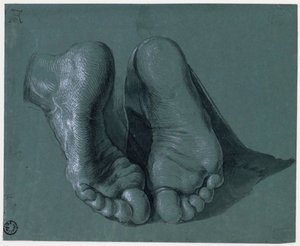 Etude de pieds - Tutkimus kahdesta jalasta - Albrecht Durerin (1471-1528) piirustus, akvarelli, valkoinen, musta liitu paperille, c1508 (17,6x21,6 cm) - Museum Boijmans Van Beuningen, Rotterdam tekijältä Albrecht Dürer