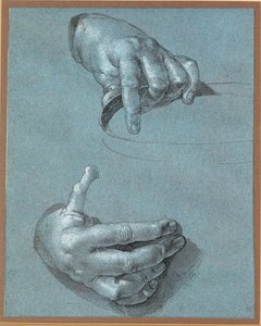 Kädet - Kaksi tutkimusta (liitupiirros siniselle paperille) tekijältä Albrecht Dürer or Duerer