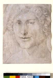 Nuoren miehen pää, 1503 tekijältä Albrecht Dürer