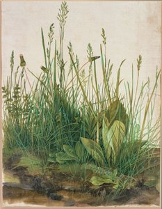 Suuri turpeen kerrostuma - Das grosse Rasenstueck tekijältä Albrecht Dürer or Duerer