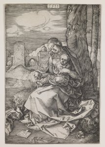 Madonna ja päärynä tekijältä Albrecht Dürer or Duerer