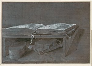 Avoin kirja (sivellinpiirustus ruskealle paperille) tekijältä Albrecht Dürer or Duerer