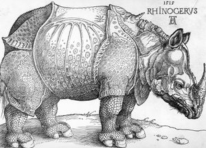 Sarvikuono tekijältä Albrecht Dürer