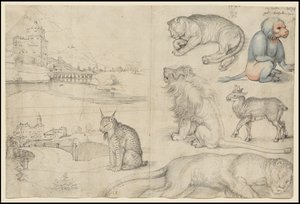 Luonnoksia eläimistä ja maisemista, 1521 tekijältä Albrecht Dürer