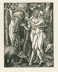Ihmisen syntiinlankeemus, noin 1510 (puupiirros) tekijältä Albrecht Dürer or Duerer