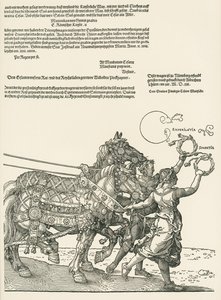 Suuri voittoauto tekijältä Albrecht Dürer or Duerer