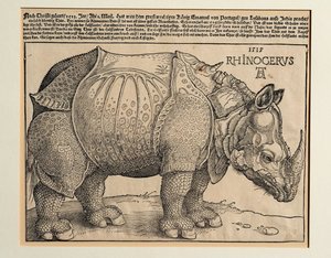 Sarvikuono tekijältä Albrecht Dürer or Duerer
