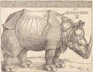 Sarvikuono tekijältä Albrecht Dürer