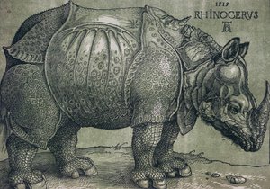 Sarvikuono, 1515 tekijältä Albrecht Dürer