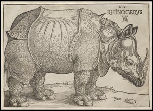 Sarvikuono, 1515 tekijältä Albrecht Dürer