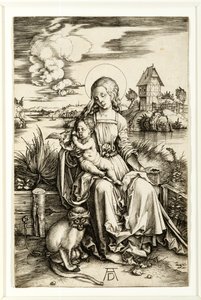 Neitsyt ja lapsi apinan kanssa tekijältä Albrecht Dürer
